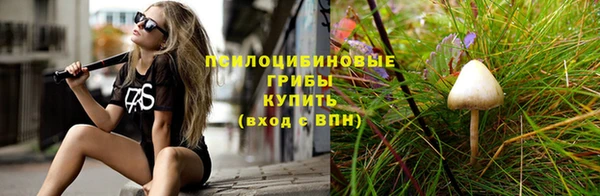 МДПВ Абинск