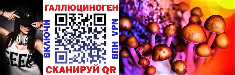 Галлюциногенные грибы мицелий Александровск