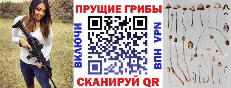 Псилоцибиновые грибы прущие грибы Александровск